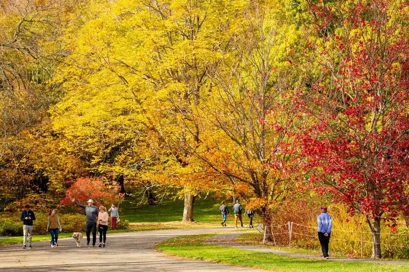 Arnold Arboretum, Massachusetts