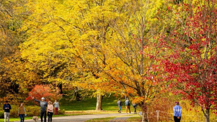 16 Ideas For Family Day Trips in New England