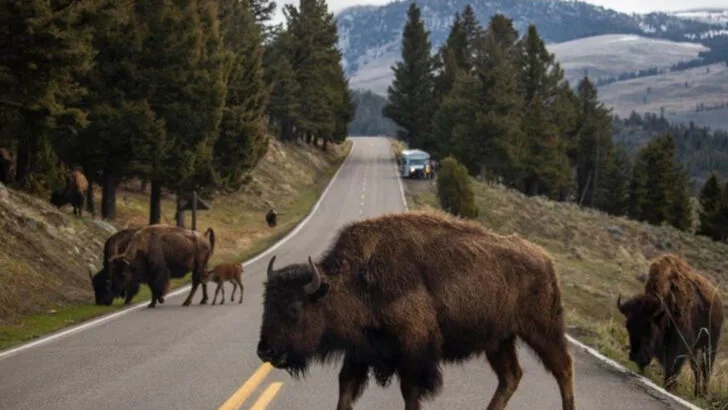 16 Family Adventures in Montana That Work Year-Round