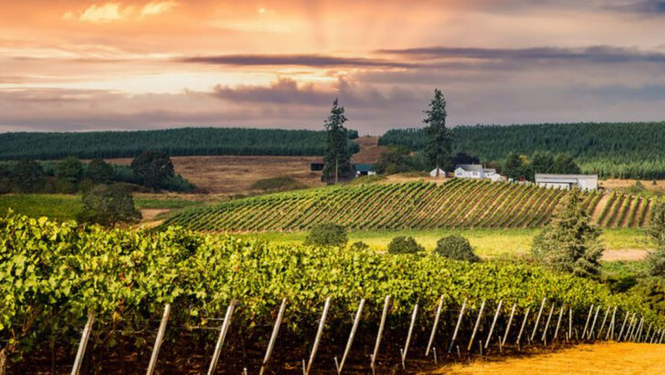 17 Oregon Destinations So Stunning, You’ll Want to Stay Forever