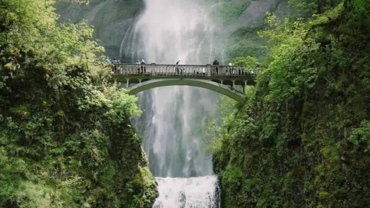 17 Family-Friendly Foodie Road Trips in the Pacific Northwest Where Every Bite Tells a Story