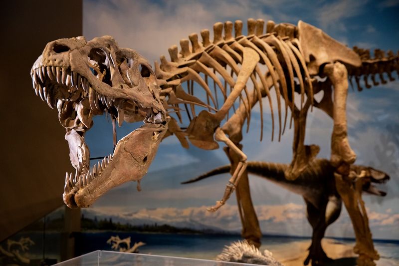 Natural History Museum of Utah