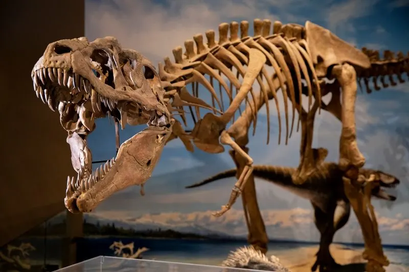 Natural History Museum of Utah