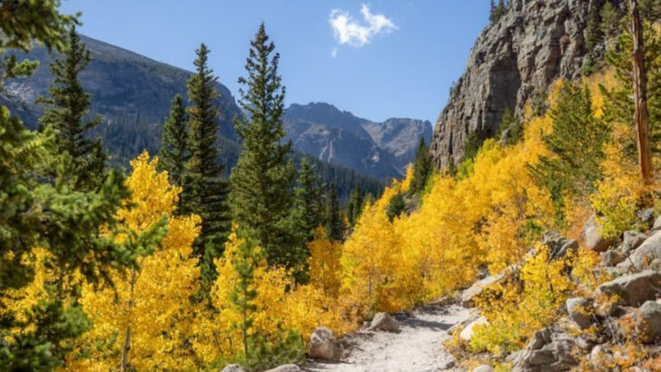 18 U.S. Spots Where You Can Truly Disconnect and Reconnect With Nature