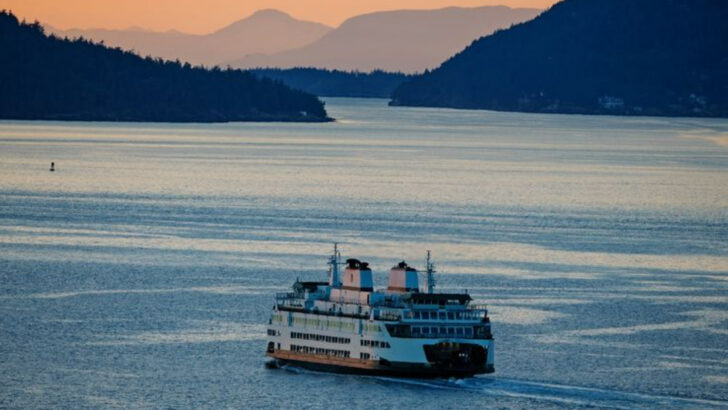 19 Fun-Filled Washington Road Trip Ideas for Every Member of the Family