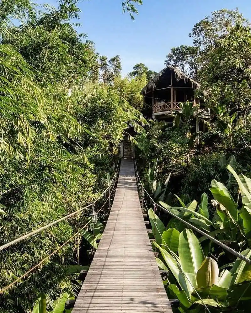 Mindo, Ecuador – Cloud Forest Orchids