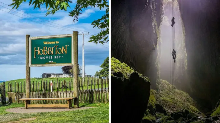 20 New Zealand Adventures That Beat Any European Vacation