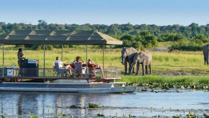 21 Legendary African National Parks Worth the Trip (And One You’ll Never Forget)