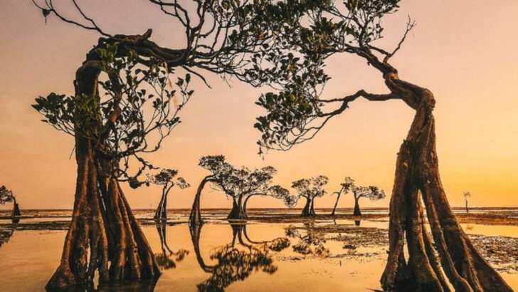 21 Most Beautiful Places in Asia You’ve Probably Never Heard Of