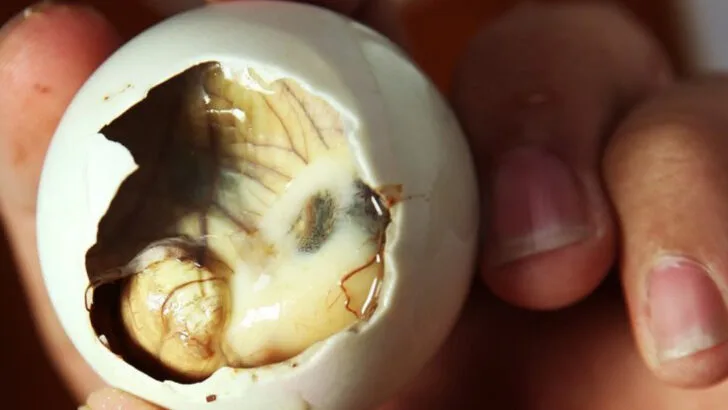 23 “Must-Try” Foods Around the World That Might Make You Sick