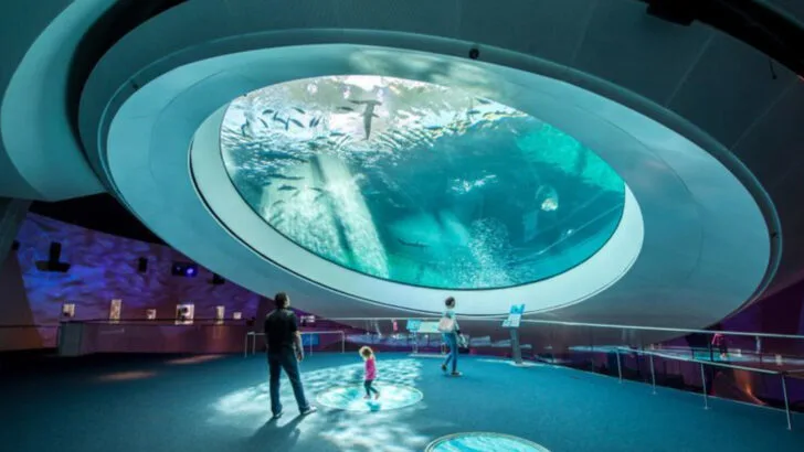 3 Days in Miami With Kids: Turns Out its a Lot More Kid-Friendly Than We Thought