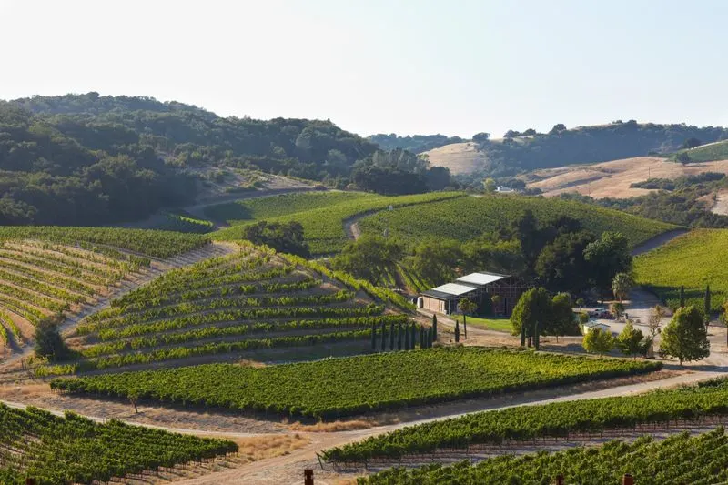 4. Alternative: Paso Robles