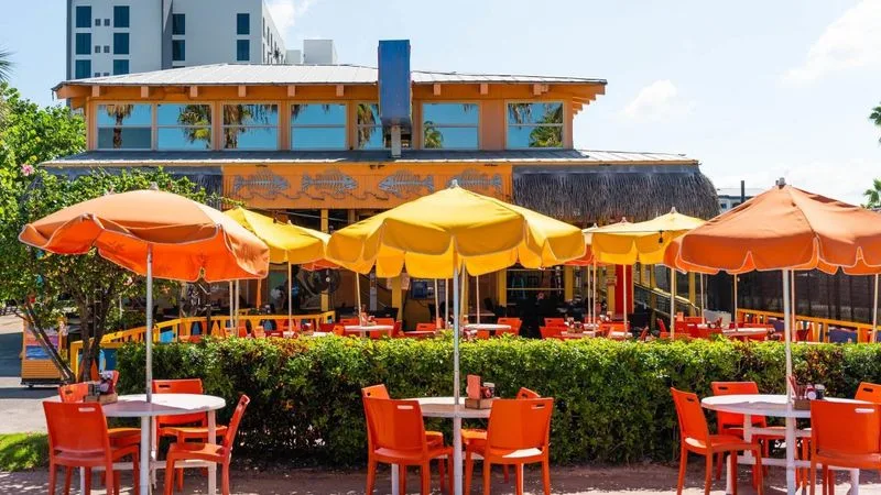 Overheated Patios with No Shade Plants