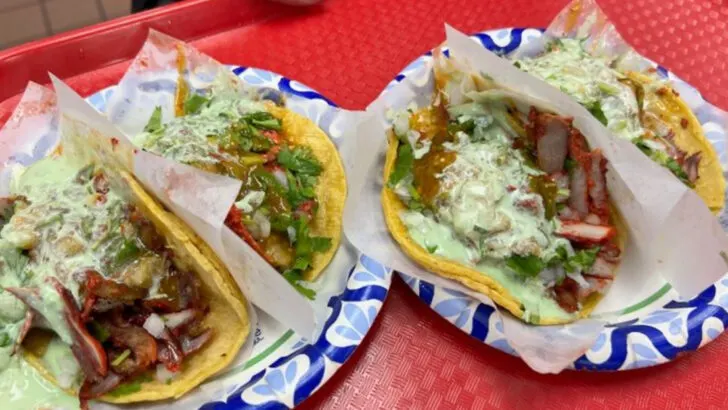 5 Colorado Taco Joints That Prove You Don’t Have to Be in California for Great Mexican Food5