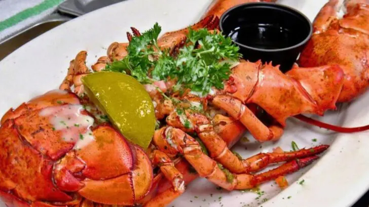 5 Rhode Island clam shacks to skip & 7 that taste like ocean summer