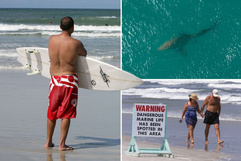 New Smyrna Beach (Volusia County)