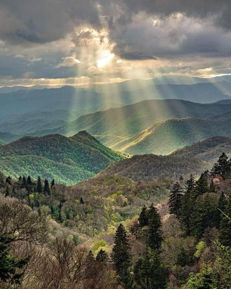 Great Smoky Mountains National Park