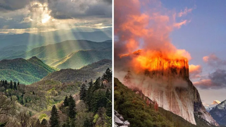 6 National Parks That Disappoint Families & 6 That Deliver Big Adventure