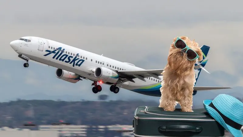 Alaska Airlines