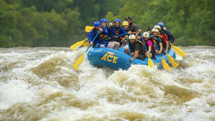 6 West Virginia White Water Rivers Safe for Families (And the 6 That Aren’t)