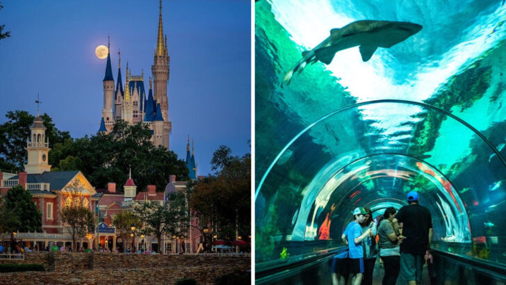7 Amusement Parks That Don’t Live Up to the Price Tag & 7 That Are Totally Worth It