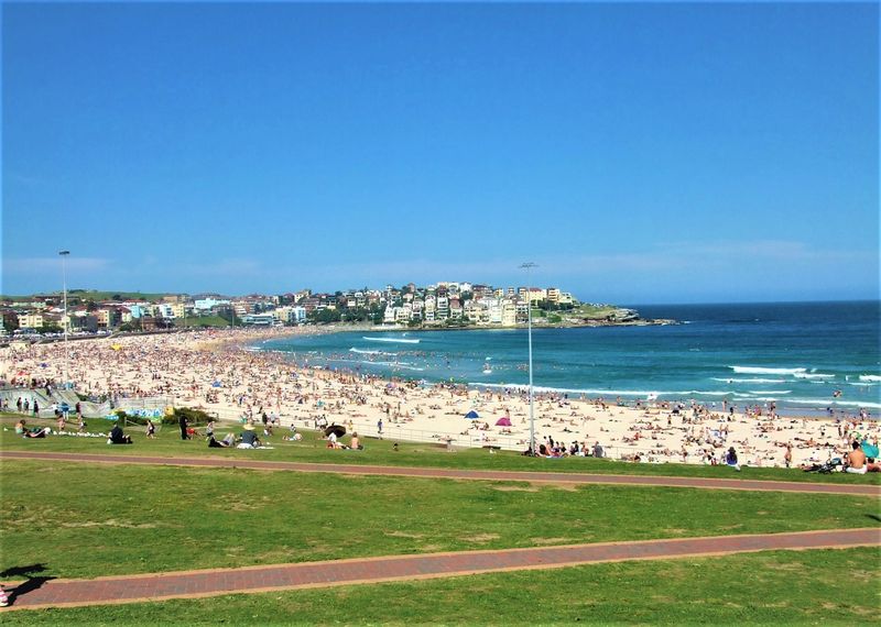 Regret: Bondi Beach, Australia