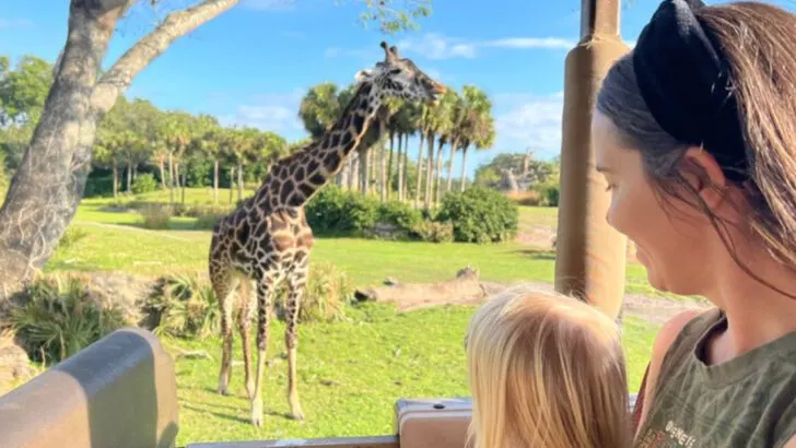 7 overrated Orlando attractions to skip and 7 that families actually love