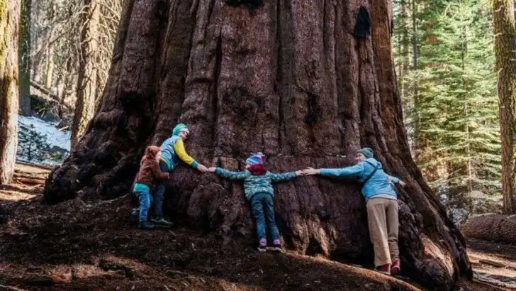 7 places on the West Coast where family vacations still feel like they did before smartphones