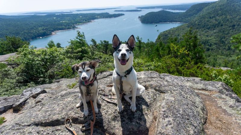 Acadia National Park (Maine)