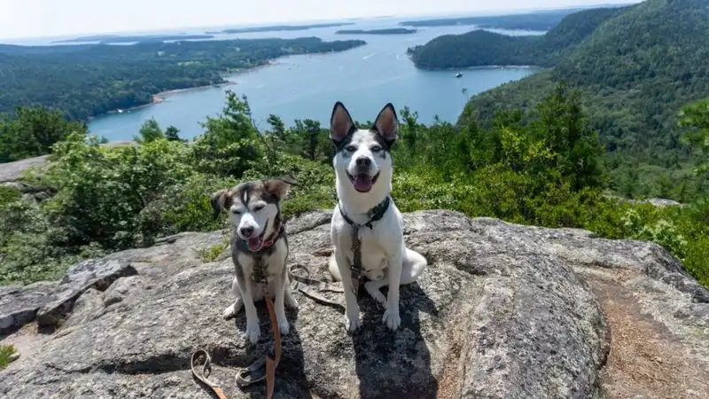 Acadia National Park (Maine)