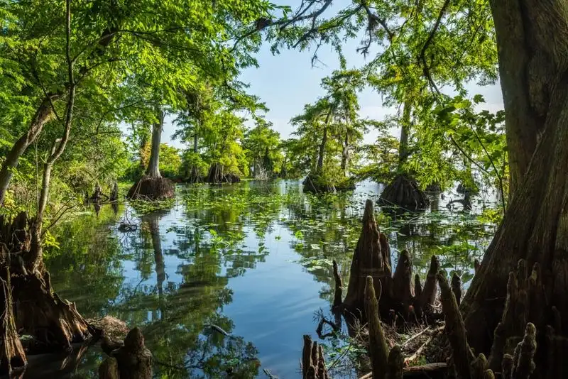 Lake Norris