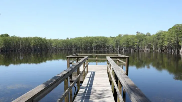 8 Secluded Florida Lakes You’ll Need to Hike to Reach