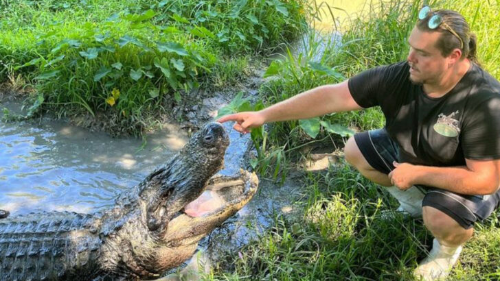 8 Louisiana Swamp Tours That Kids Will Actually Love (Plus 4 Tourist Traps to Skip)
