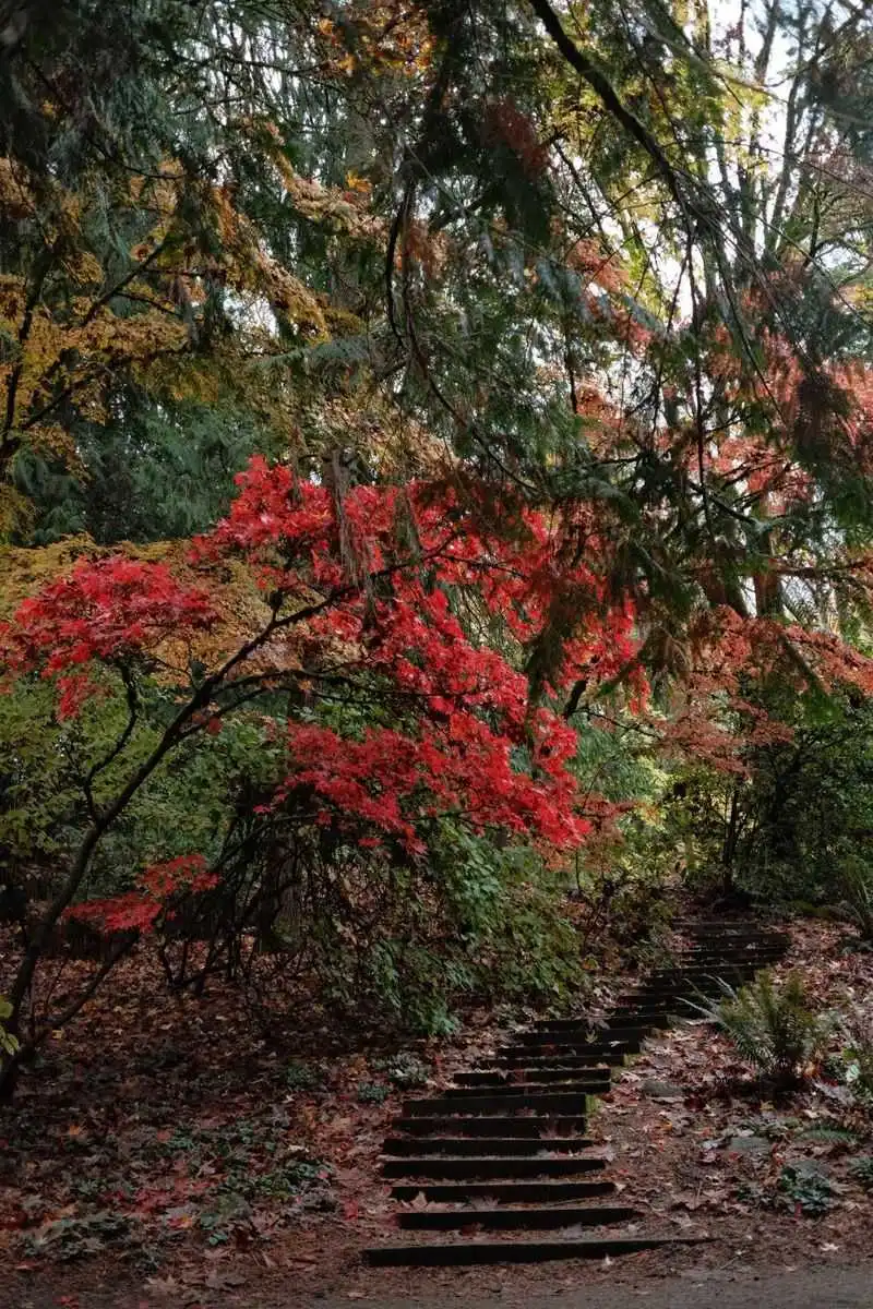 Washington Park Arboretum (Seattle Start Point)