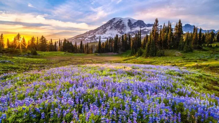 9 Best Family Road Trips and Getaways From Seattle