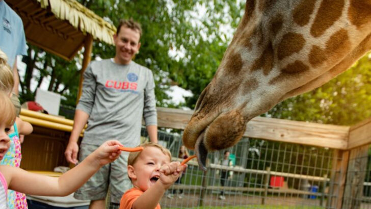 9 Best Places to Take Your Kids at Every Age (From Newborn to College Grad)