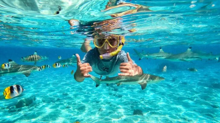 9 Top Places to Snorkel in the South Pacific
