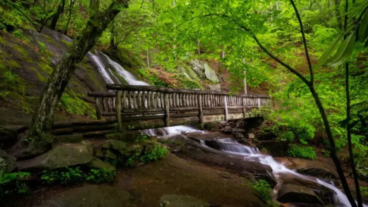 9 River Tubing Spots in the South That Are Gentle Enough for Little Floaters