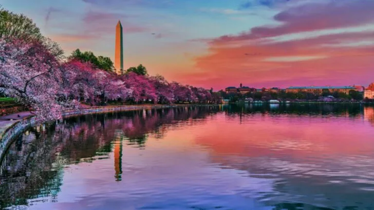 A 3-Day Family Itinerary for Washington, D.C. (Hits, Misses, and Must-Sees)