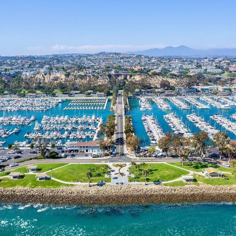 Beachside Palms and Date Palms Along the Harbor Walkway