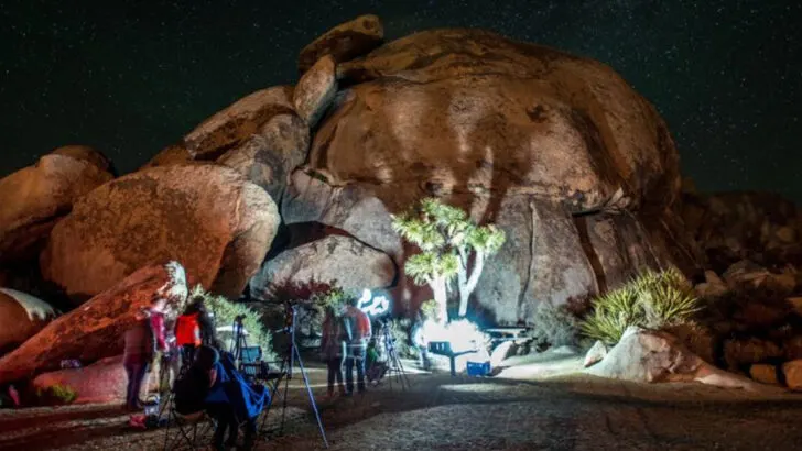 A Desert National Park Journey Through Utah, Arizona, and California