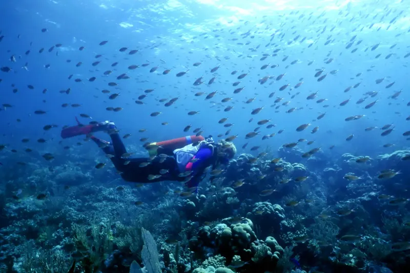 Underrated Diving and Snorkeling Spots