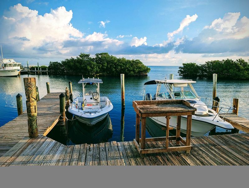 Fishing Right Off the Dock