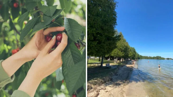 A Wisconsin Peninsula That Offers Cherry-Picking, Calm Beaches, and Ice Cream Shops at Every Turn