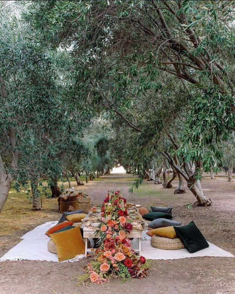 Olive Trees That Echo the Spanish Countryside