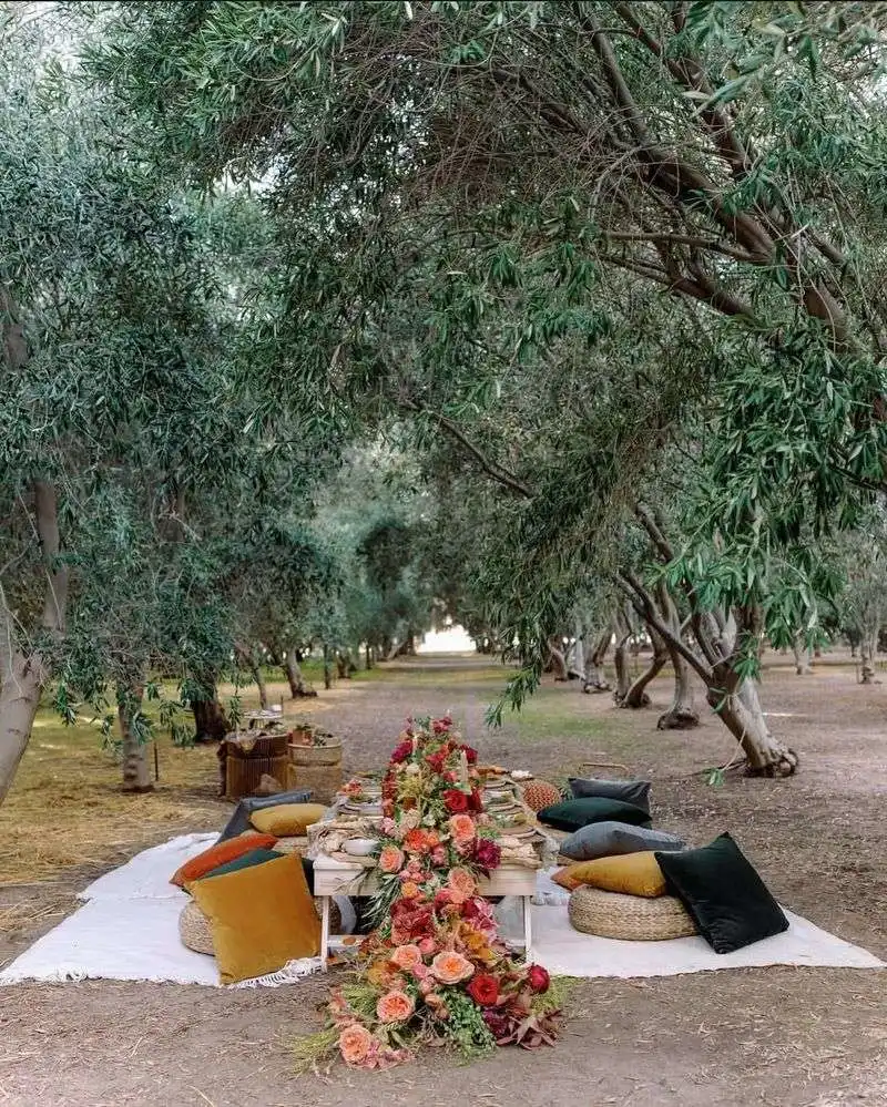 Olive Trees That Echo the Spanish Countryside