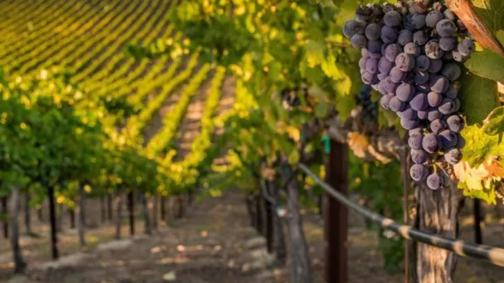 A taste of Spain in California? This secret town delivers just that.