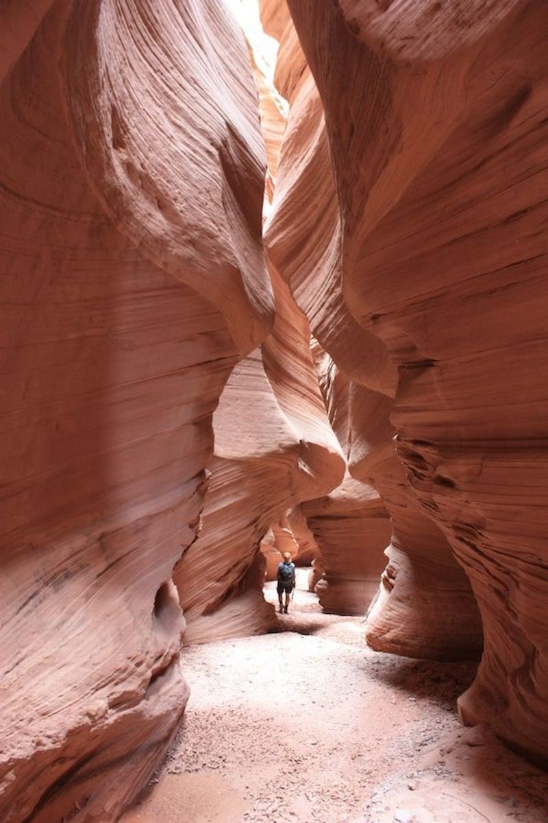 Capitol Reef National Park