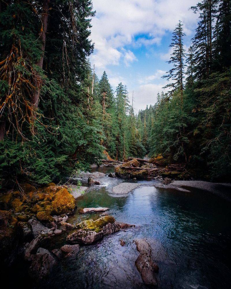 Olympic National Park, Washington