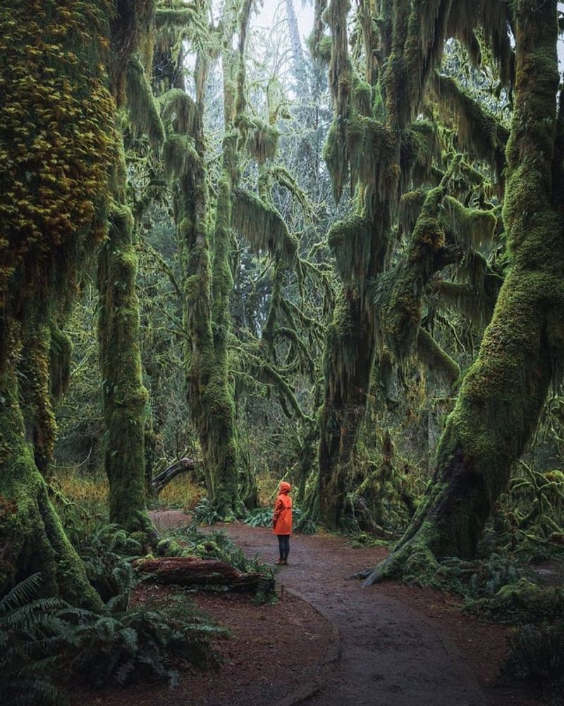 Olympic National Park, Washington